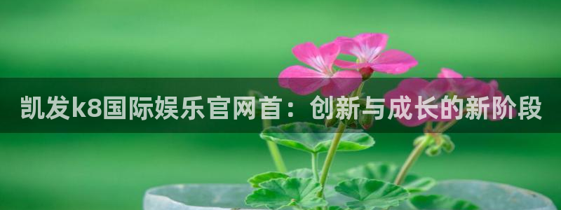 app彩神网：凯发k8国际娱乐官网首：创新与成长的新阶段