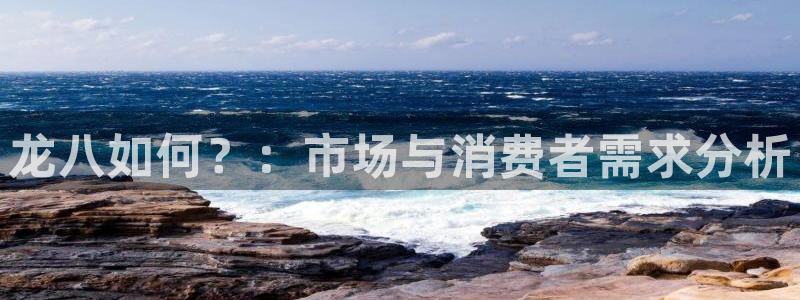 中彩神：龙八如何？：市场与消费者需求分析