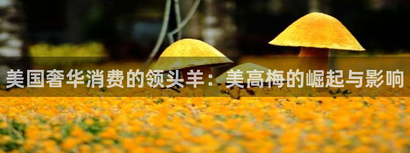 彩神iii彩神中国：美国奢华消费的领头羊：美高梅的崛起与影响