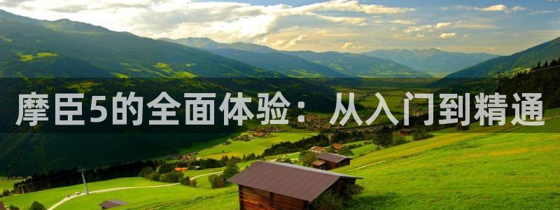 凤凰彩神：摩臣5的全面体验：从入门到精通