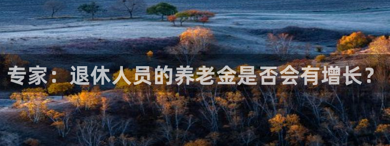 彩神8app：专家：退休人员的养老金是否会有增长？