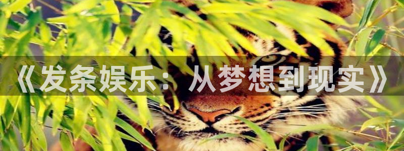 彩神吧：《发条娱乐：从梦想到现实》