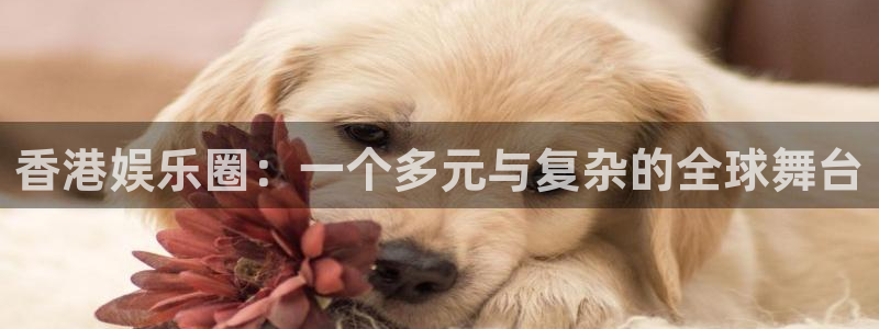 神彩神 ii：香港娱乐圈：一个多元与复杂的全球舞台