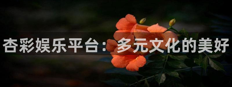 彩神x官网：杏彩娱乐平台：多元文化的美好