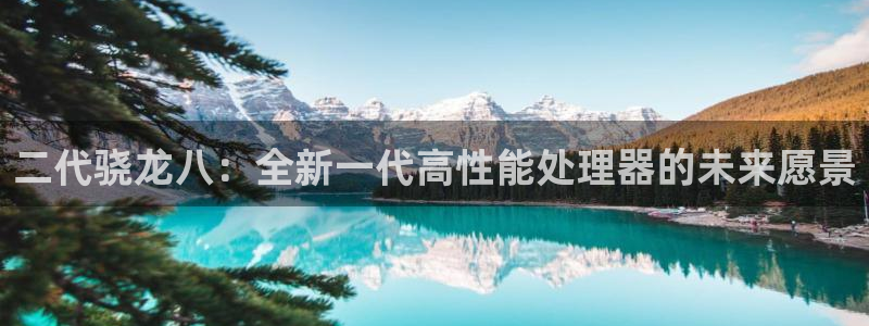 彩神vlll：二代骁龙八：全新一代高性能处理器的未来愿景