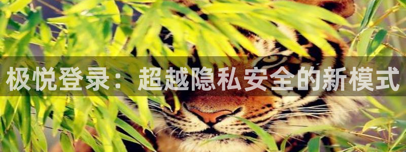 彩神8彩平台：极悦登录：超越隐私安全的新模式