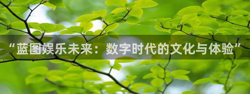 中彩神：“蓝图娱乐未来：数字时代的文化与体验”