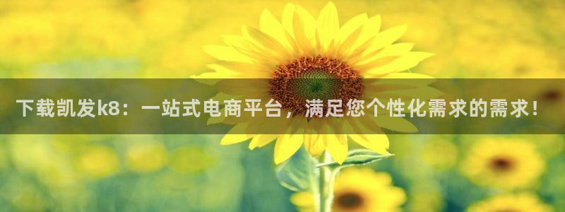 网信彩神：下载凯发k8：一站式电商平台，满足您个性化需求的需求！