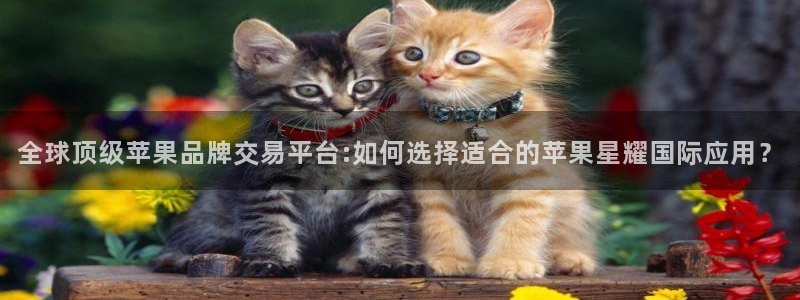 彩神编手链三根绳子：全球顶级苹果品牌交易平台:如何选择适合的苹果星耀国际应用？