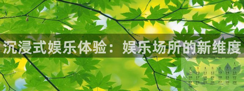 彩神iii彩神中国：沉浸式娱乐体验：娱乐场所的新维度
