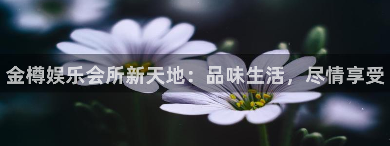 彩神(中国)有限公司：金樽娱乐会所新天地：品味生活，尽情享受
