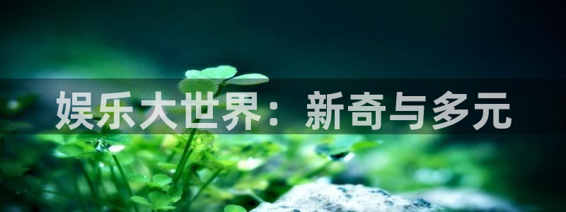 拼搏在线彩神网：娱乐大世界：新奇与多元