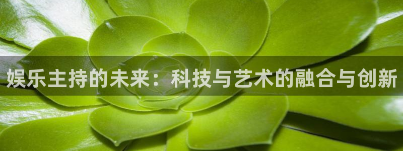 彩神ii官网：娱乐主持的未来：科技与艺术的融合与创新