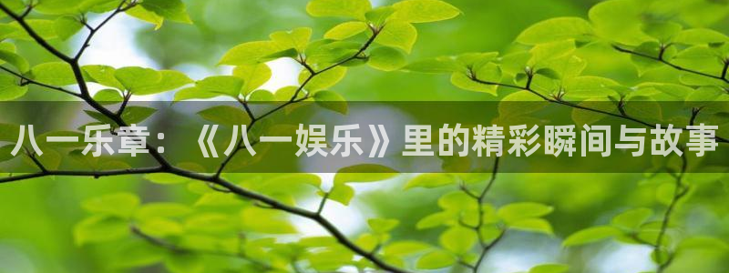 彩神广告：八一乐章：《八一娱乐》里的精彩瞬间与故事