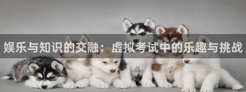 彩神vlil购彩入口：娱乐与知识的交融：虚拟考试中的乐趣与挑战
