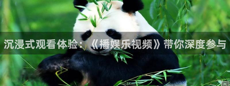 傲世彩神挂机：沉浸式观看体验：《播娱乐视频》带你深度参与