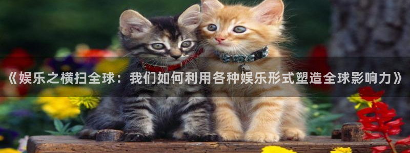 大发快彩神：《娱乐之横扫全球：我们如何利用各种娱乐形式塑造全球影响力》