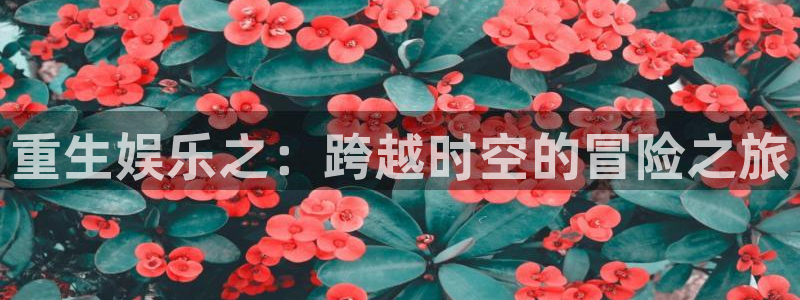 大发快三官网彩神：重生娱乐之：跨越时空的冒险之旅