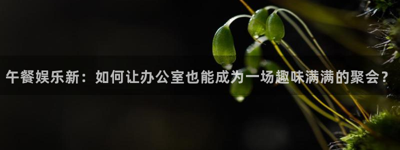 彩神vll购彩：午餐娱乐新：如何让办公室也能成为一场趣味满满的聚会？