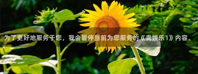 神彩神 ii：为了更好地服务于您，我会暂停当前为您服务的《青娱乐1》内容。