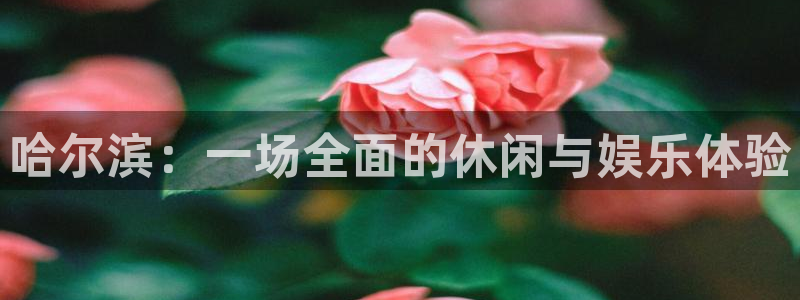 彩神8：哈尔滨：一场全面的休闲与娱乐体验