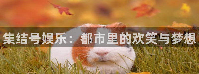 彩神vllll：集结号娱乐：都市里的欢笑与梦想