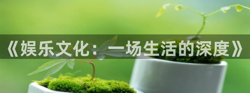 彩神邀请码：《娱乐文化：一场生活的深度》
