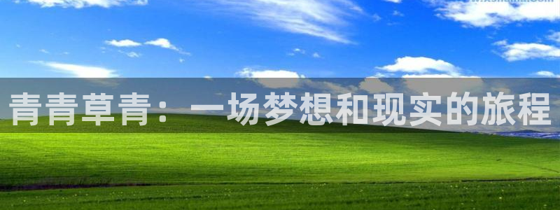 彩神v首页登录：青青草青：一场梦想和现实的旅程