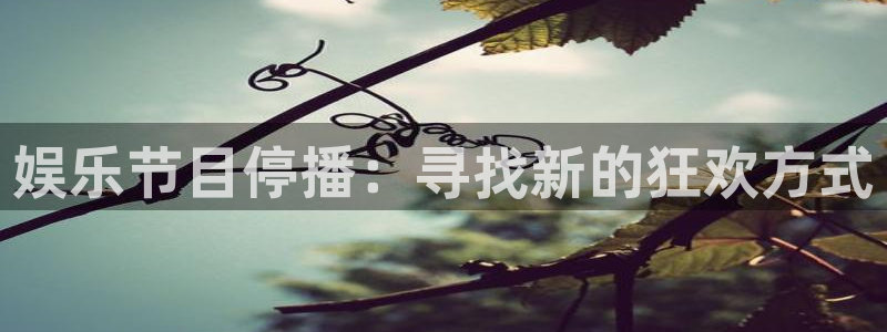 500彩神：娱乐节目停播：寻找新的狂欢方式